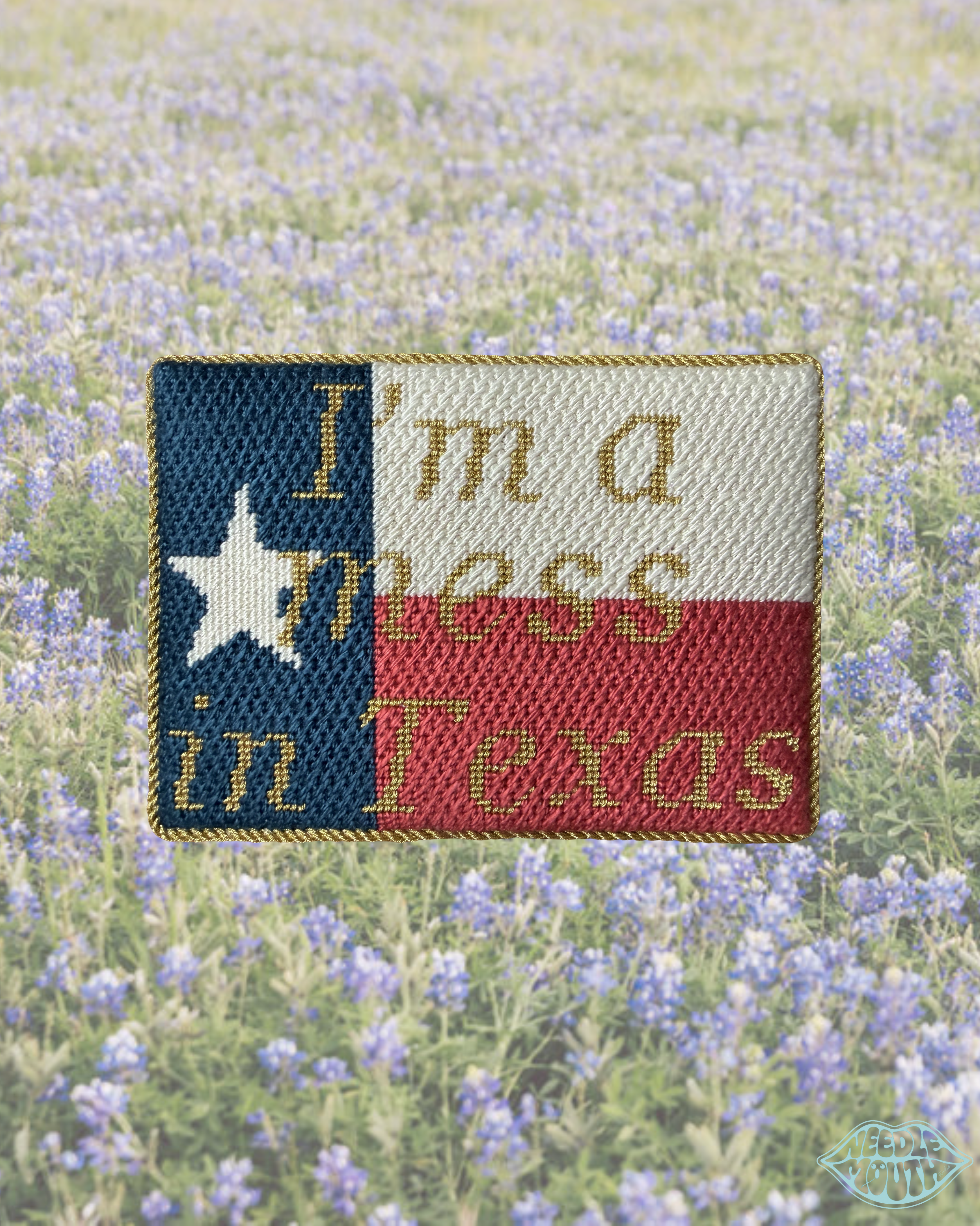 I'm a Mess in Texas