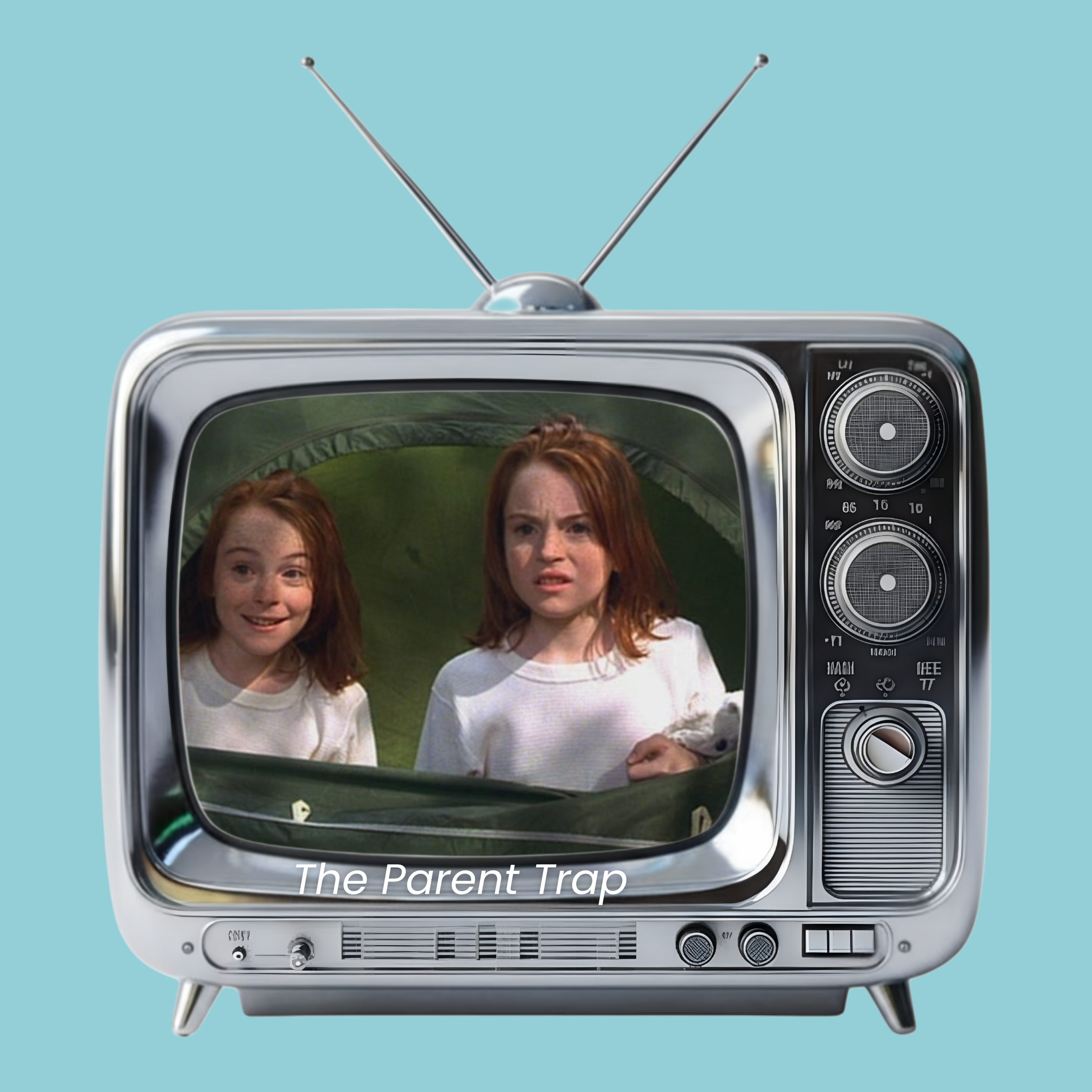 Meredith in The Parent Trap